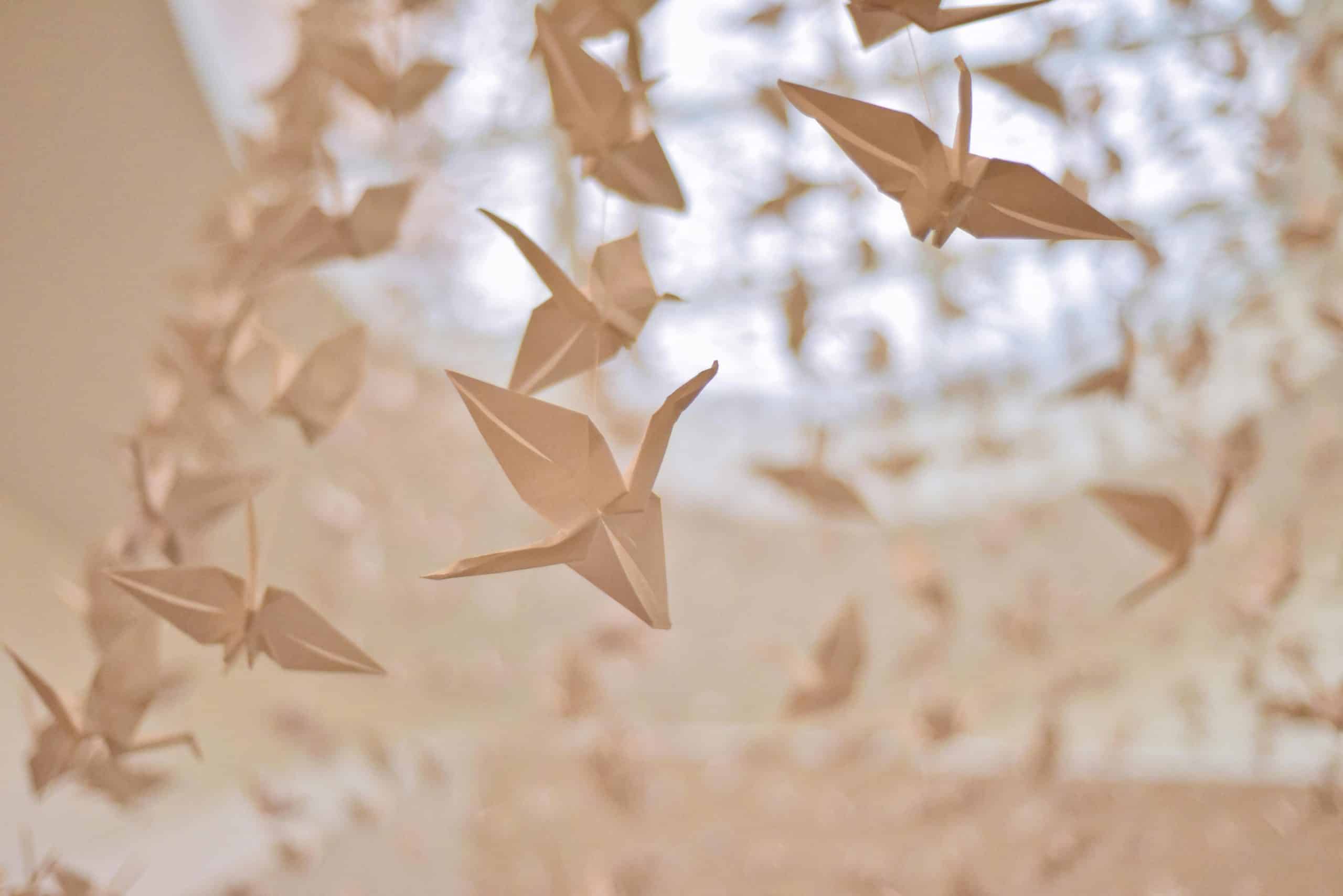 les meilleurs artistes origamiste event